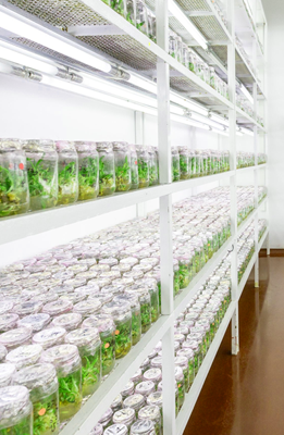 Fully integrated activities