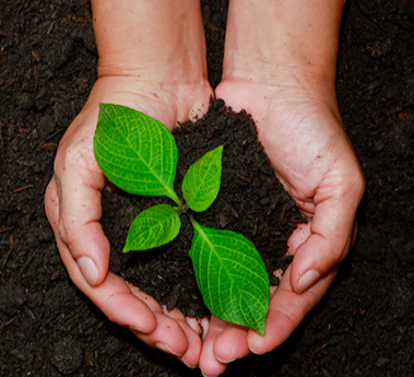 Corporate & Social responsibilities